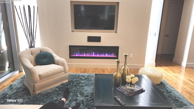 living room featuring hardwood / wood-style floors