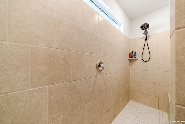 interior details with tiled shower