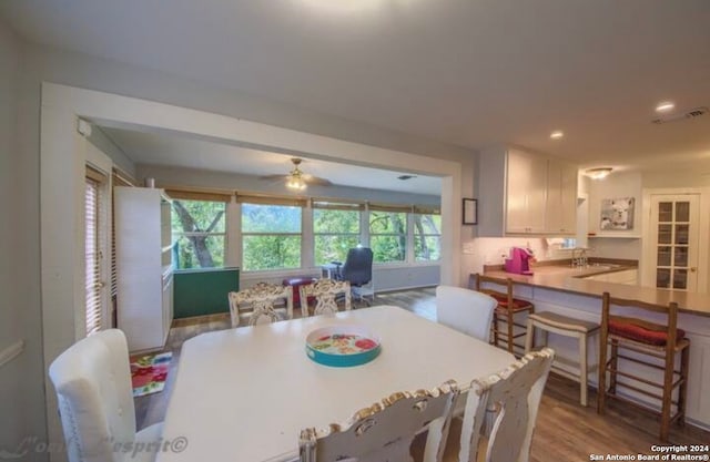 dining area with light hardwood / wood-style floors, ceiling fan, a healthy amount of sunlight, and sink