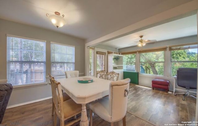 dining area featuring dark hardwood / wood-style flooring and ceiling fan