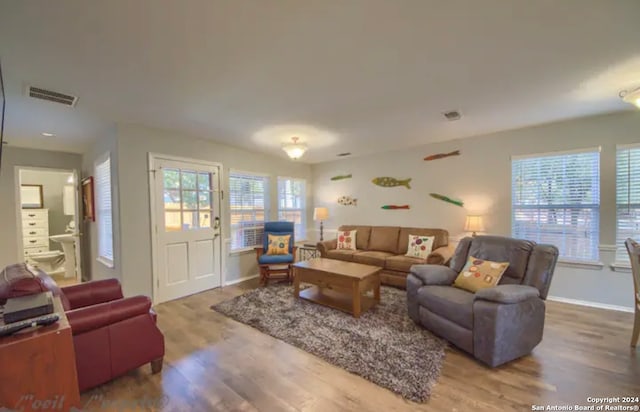 living room with hardwood / wood-style flooring