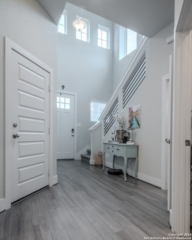 entryway with hardwood / wood-style flooring and a towering ceiling