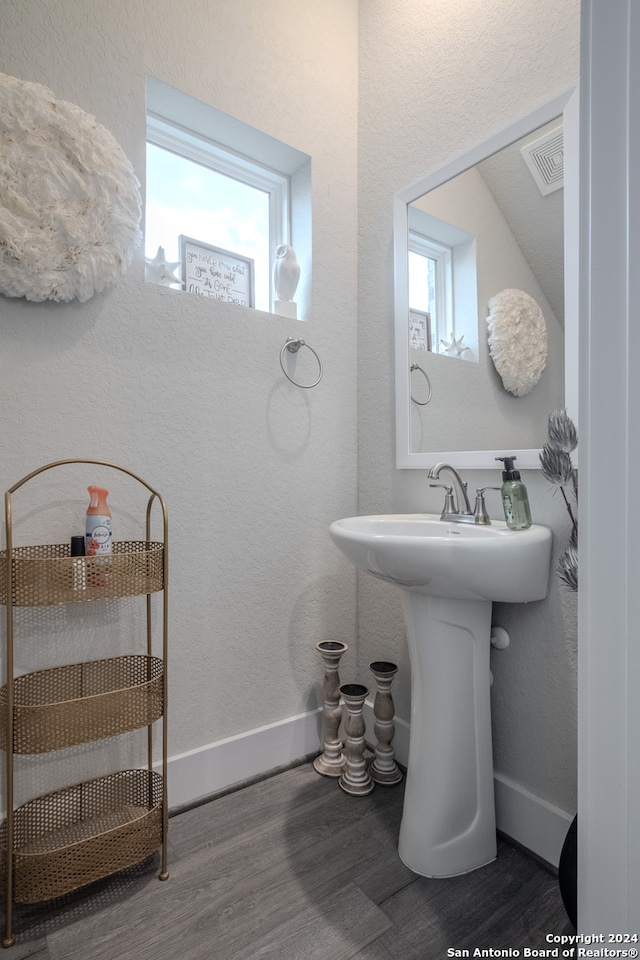 bathroom featuring hardwood / wood-style floors and a wealth of natural light