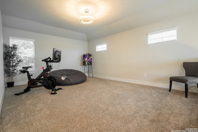 exercise room featuring carpet flooring and plenty of natural light