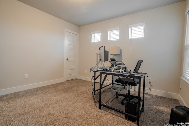 office featuring carpet flooring