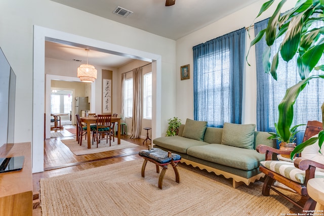 living room featuring hardwood / wood-style flooring and plenty of natural light