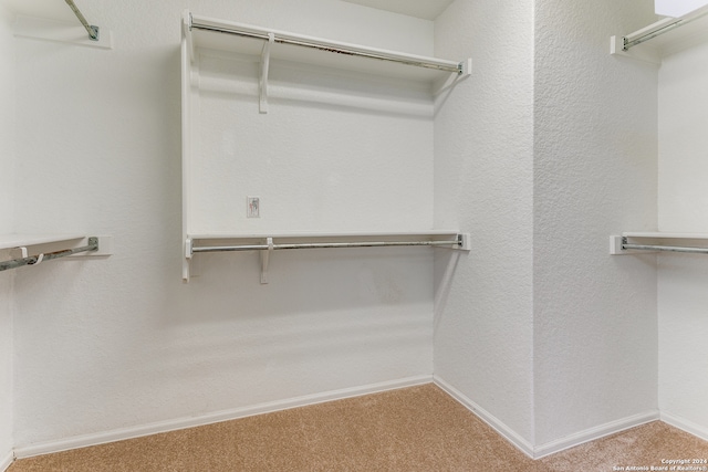 walk in closet with carpet flooring