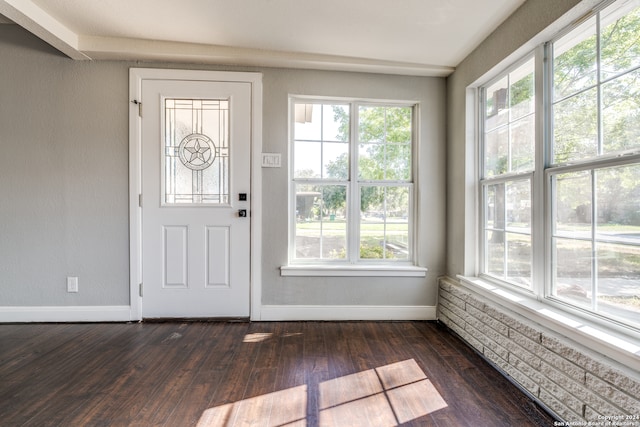 foyer featuring plenty of natural light and dark wood-type flooring