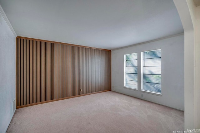 carpeted empty room featuring crown molding and wooden walls