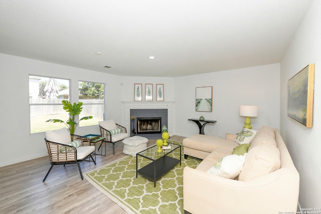 living room featuring a fireplace and light hardwood / wood-style flooring