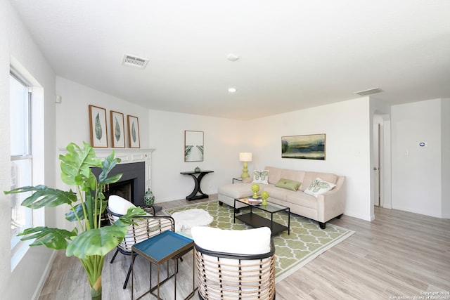 living room featuring light hardwood / wood-style flooring