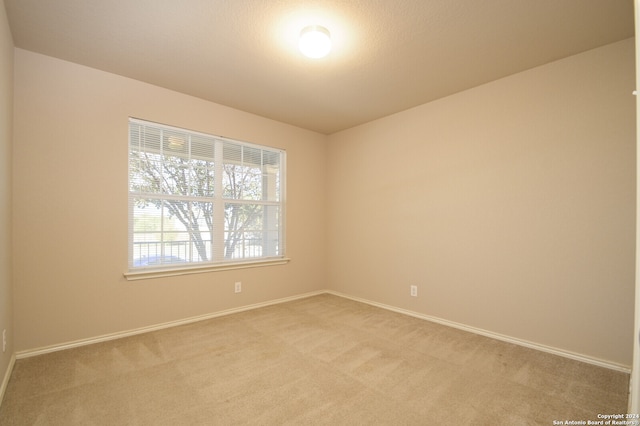 spare room with carpet floors