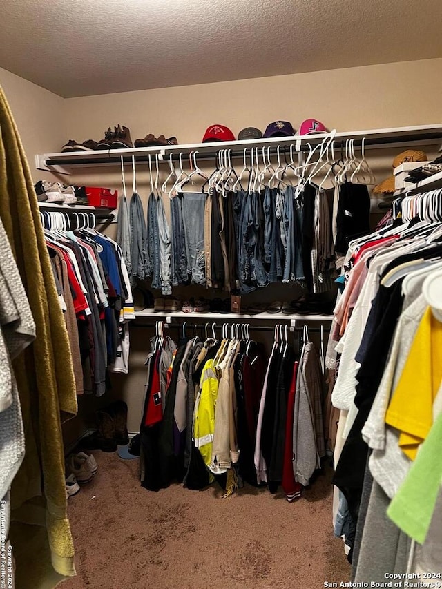 walk in closet featuring carpet floors