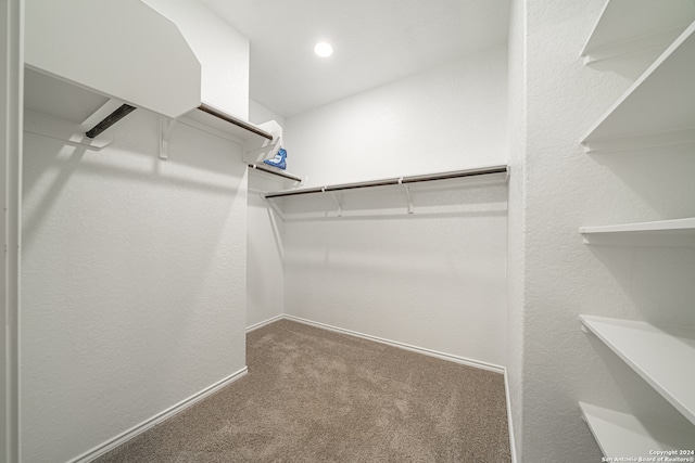 spacious closet with carpet floors