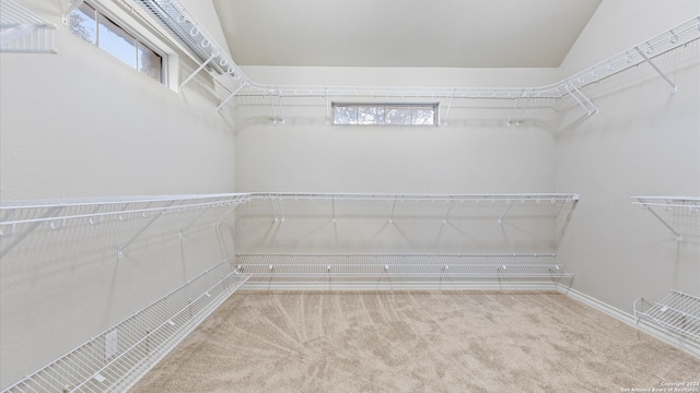 walk in closet with carpet floors and vaulted ceiling