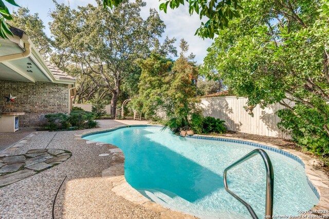 view of pool with a patio