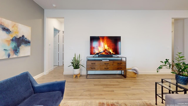 living room featuring light hardwood / wood-style flooring