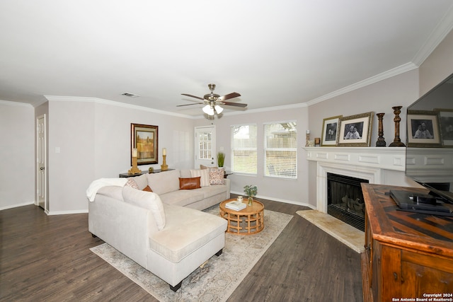 living room with ceiling fan, ornamental molding, and dark wood-type flooring