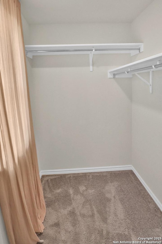 walk in closet with carpet