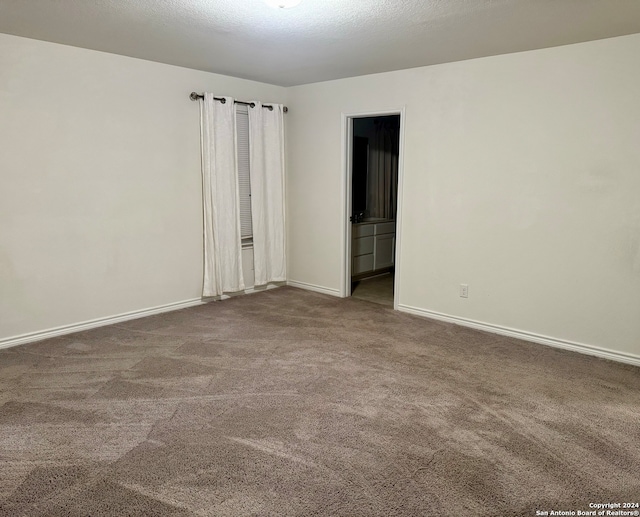 empty room featuring carpet and a textured ceiling