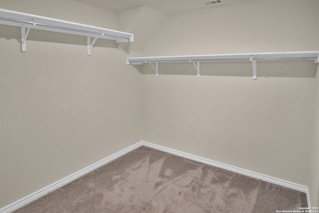 walk in closet with carpet floors