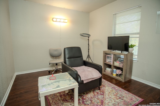 sitting room with dark wood-type flooring