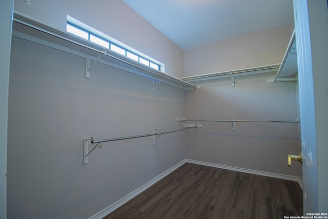 spacious closet with dark wood-type flooring