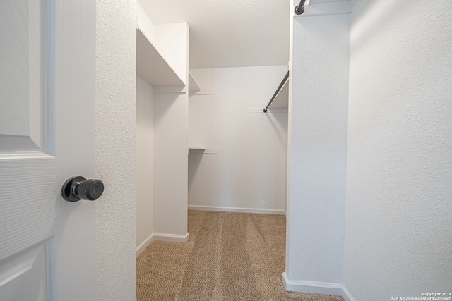 walk in closet featuring light carpet