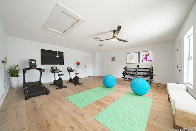 exercise room with ceiling fan and hardwood / wood-style floors