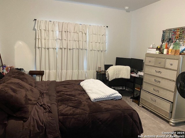 bedroom with light colored carpet