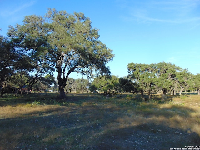 view of local wilderness with a rural view