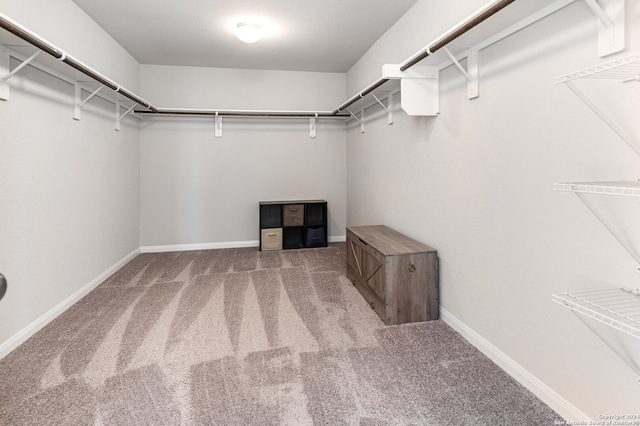 spacious closet with carpet floors