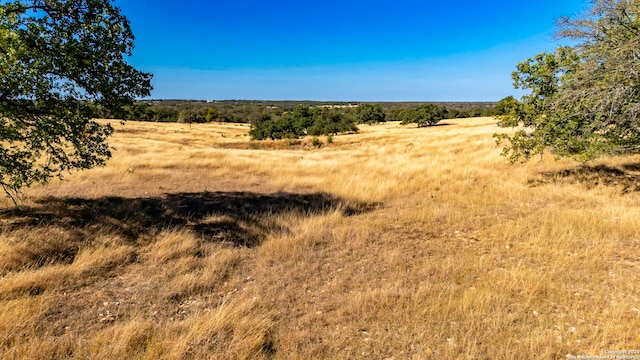 view of local wilderness with a rural view