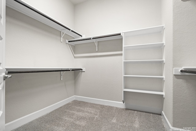 spacious closet featuring carpet flooring