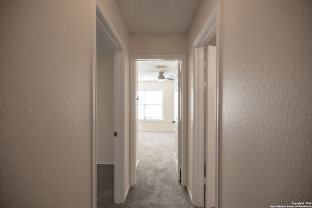 hallway with light colored carpet and a textured ceiling