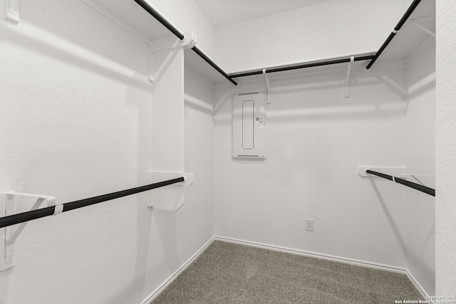 spacious closet featuring electric panel and carpet floors