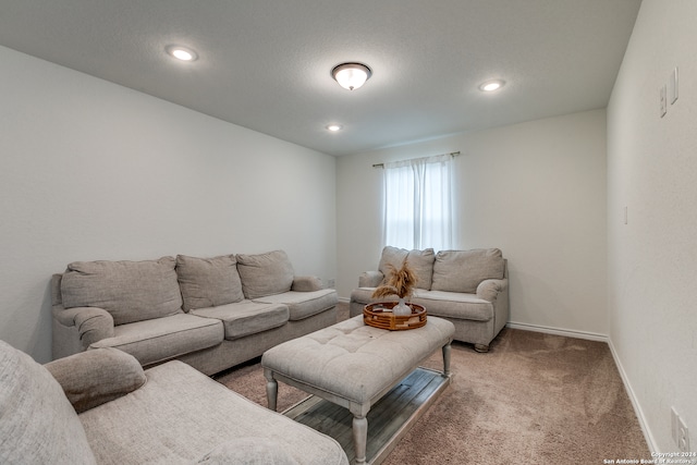 living room with carpet floors and a textured ceiling