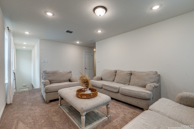 living room with carpet