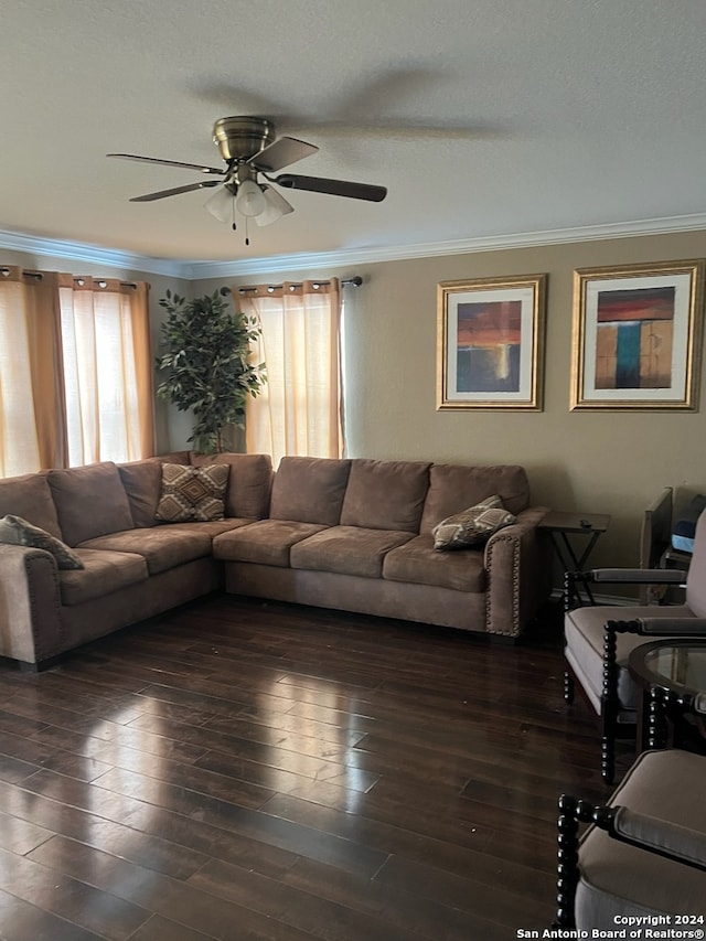 living room featuring a wealth of natural light, crown molding, ceiling fan, and dark hardwood / wood-style floors