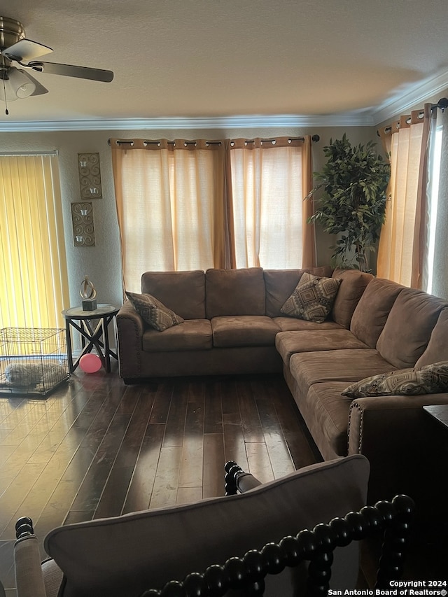 living room featuring wood-type flooring, ceiling fan, and crown molding