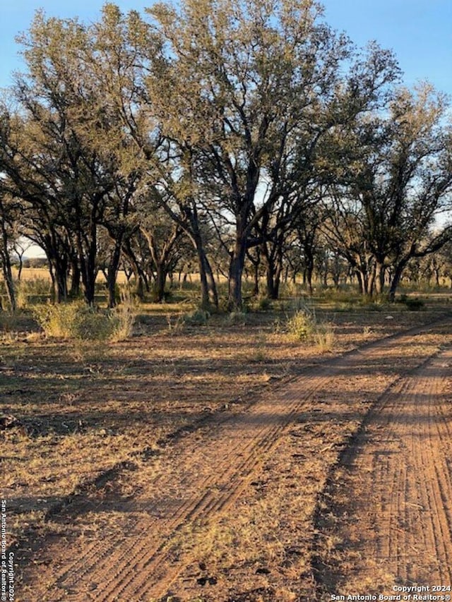 Listing photo 2 for 000 Fm 1796, Dhanis TX 78850