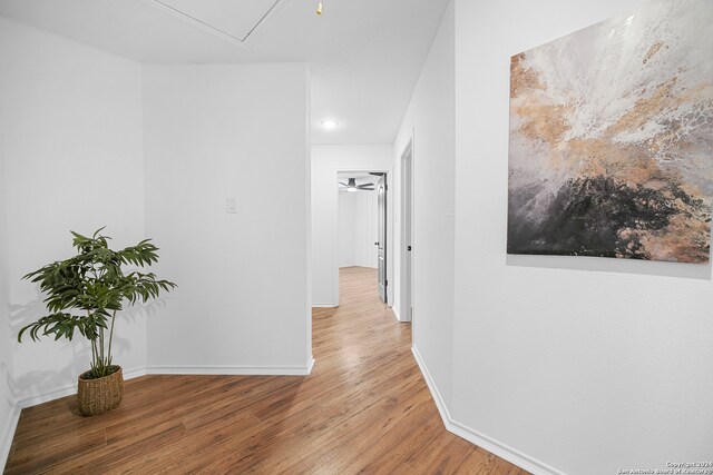 corridor featuring hardwood / wood-style flooring