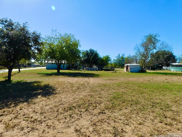 view of yard with a storage shed