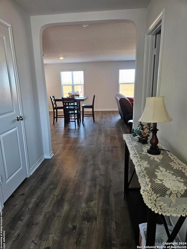 corridor featuring dark hardwood / wood-style floors, a textured ceiling, and a wealth of natural light