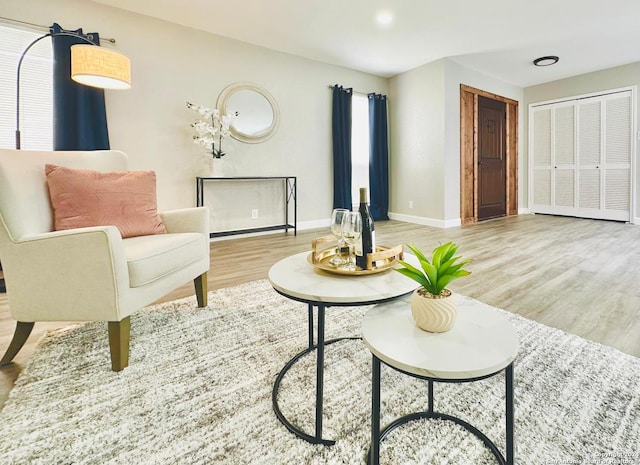 sitting room featuring light wood-type flooring