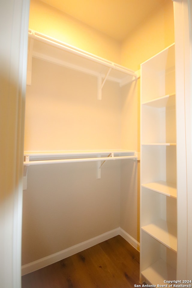 spacious closet featuring dark hardwood / wood-style flooring