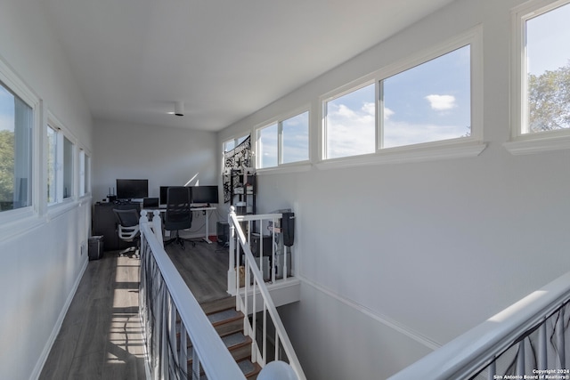 interior space with plenty of natural light and dark hardwood / wood-style floors