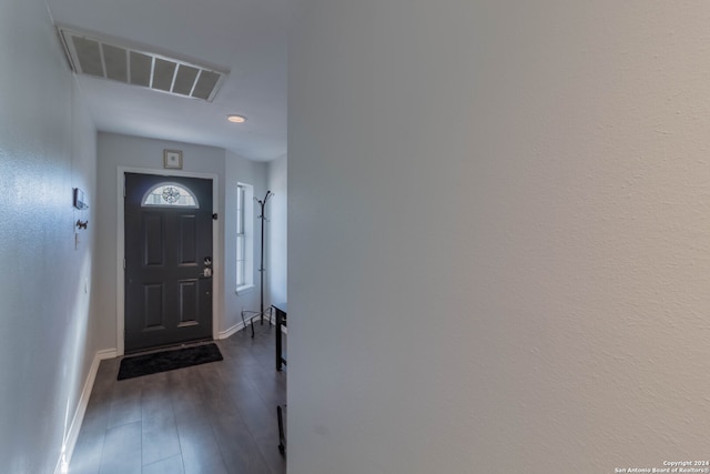 foyer featuring dark wood-type flooring