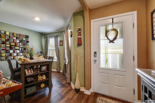 entrance foyer with dark wood-type flooring