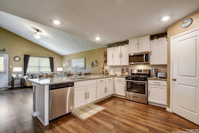 kitchen with lofted ceiling, sink, kitchen peninsula, and stainless steel appliances